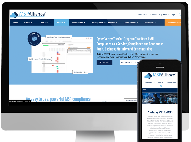 CyberVerify project screenshot